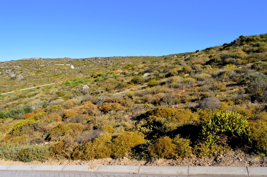 0 Bedroom Property for Sale in Steenbergs Cove Western Cape